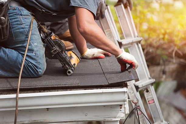 Best Roof Gutter Cleaning  in Yadkinville, NC